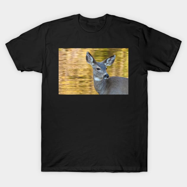 Seasonal Deer T-Shirt by jvnimages